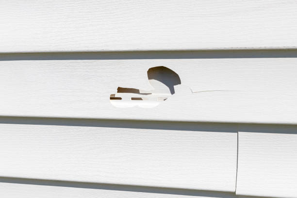 Best Custom Trim and Detailing for Siding  in Setauket, NY