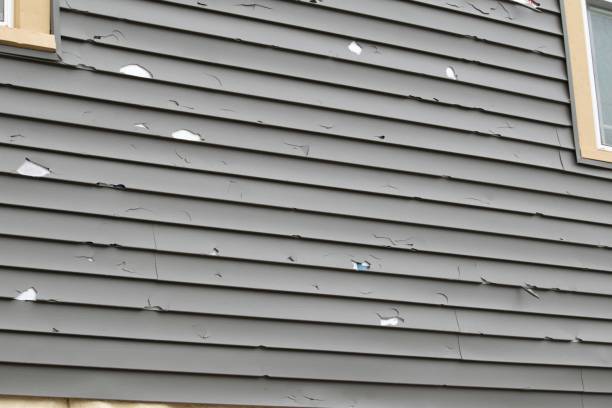 Best Vinyl Siding Installation  in Setauket, NY